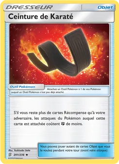 Carte Ceinture de Karaté 201/236 – Harmonie des Esprits