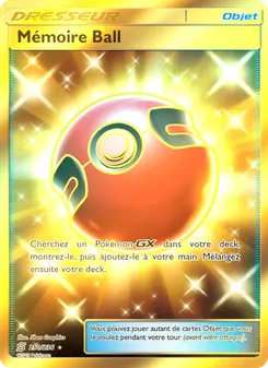 Carte Mémoire Ball 250/236 – Harmonie des Esprits