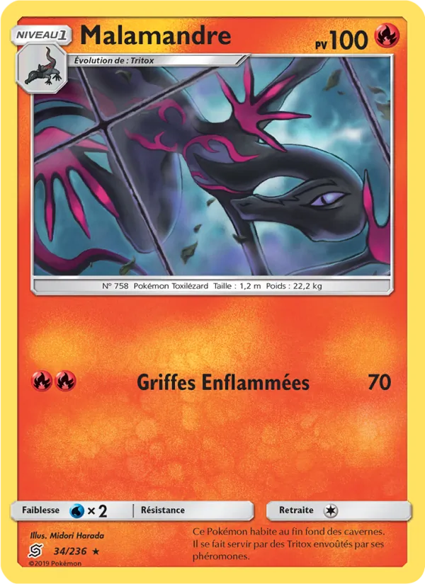 Carte Malamandre 34/236 – Harmonie des Esprits