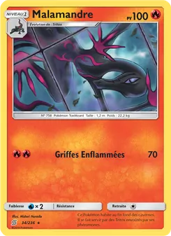 Carte Malamandre 34/236 – Harmonie des Esprits