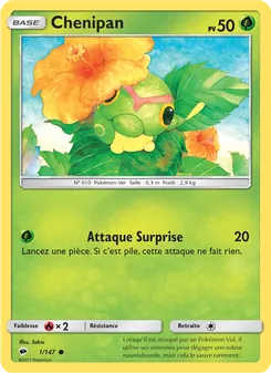 Carte Chenipan 1/147 – Ombres Ardentes