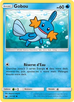 Carte Gobou 32/168 – Tempête Céleste