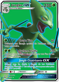 Carte Jungko GX 196/214 – Tonnerre Perdu