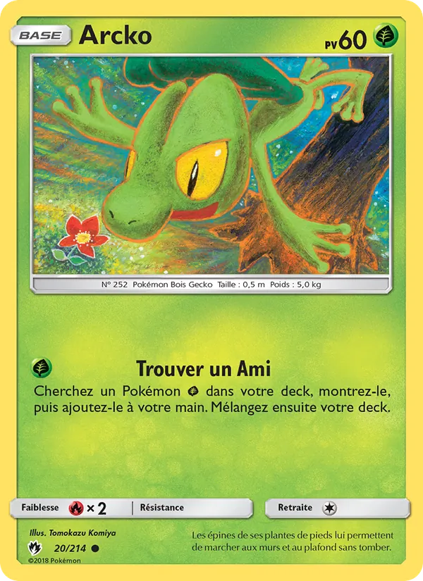Carte Arcko 20/214 – Tonnerre Perdu