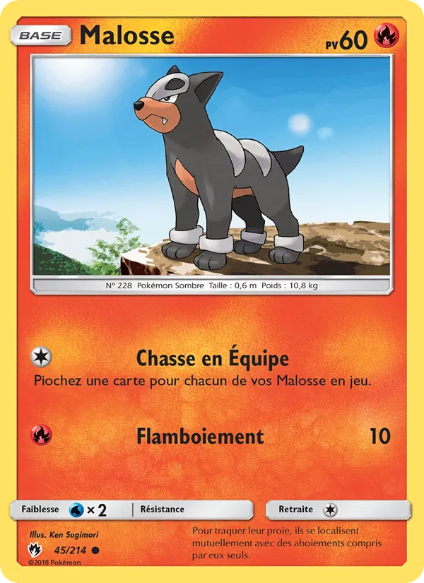 Carte Malosse 45/214 – Tonnerre Perdu