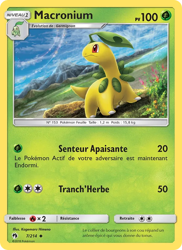 Carte Macronium 7/214 – Tonnerre Perdu