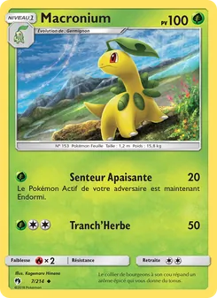 Carte Macronium 7/214 – Tonnerre Perdu