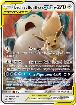 Carte Évoli et Ronflex GX 120/181 – Duo de Choc