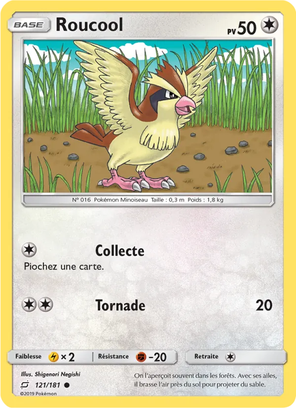 Carte Roucool 121/181 – Duo de Choc