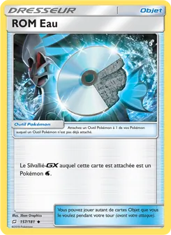 Carte ROM Eau 157/181 – Duo de Choc