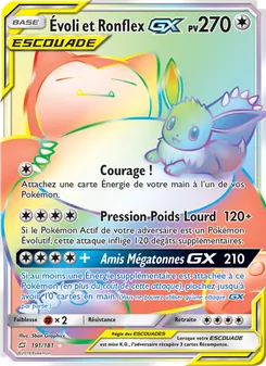 Carte Évoli et Ronflex GX 191/181 – Duo de Choc