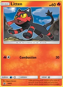 Carte Flamiaou SM02 – Promo SM