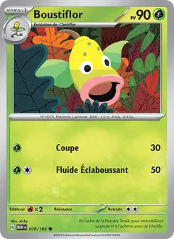 Carte Boustiflor 070/165 – 151