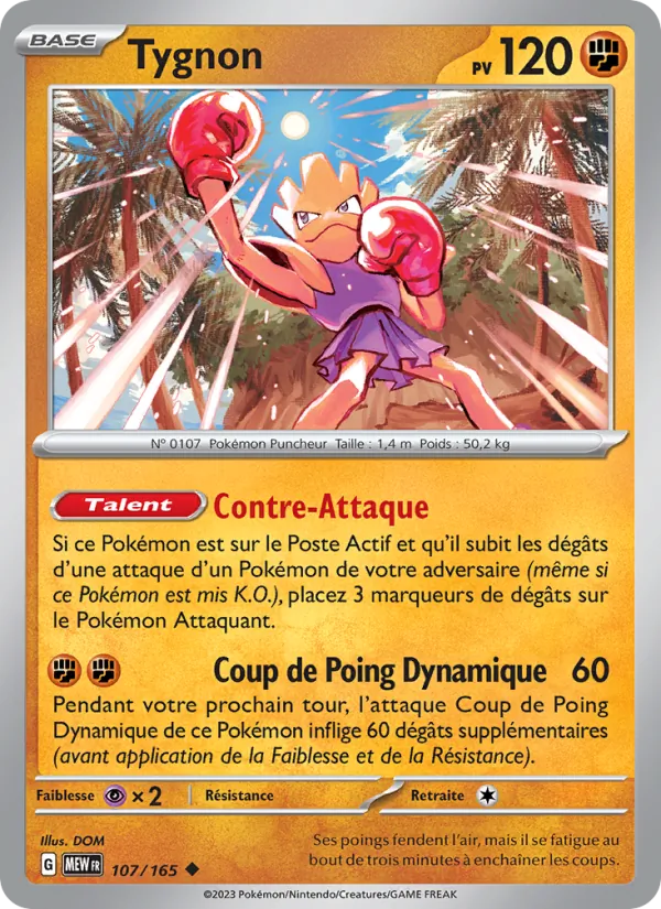 Carte Tygnon 107/165 – 151