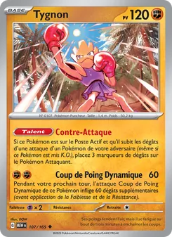 Carte Tygnon 107/165 – 151