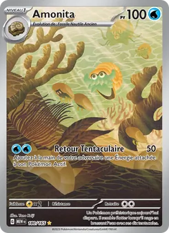 Carte Amonita 180/165 – 151