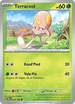 Carte Terracool 016/182 – Faille Paradoxe