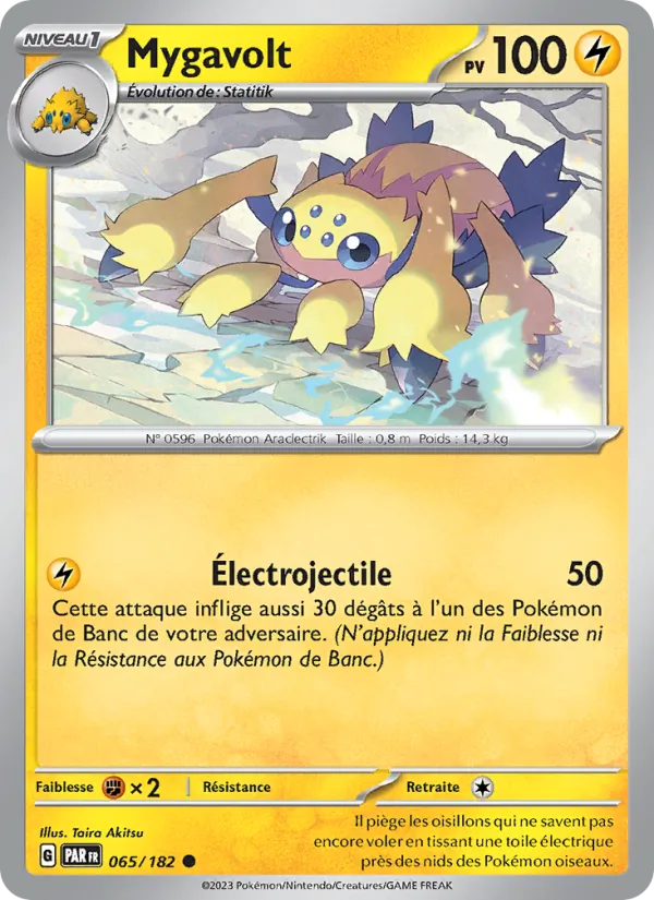 Carte Mygavolt 065/182 – Faille Paradoxe
