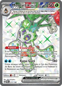 Carte Momartik-ex 217/182 – Faille Paradoxe