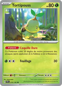 Carte Tortipouss 010/162 – Forces Temporelles