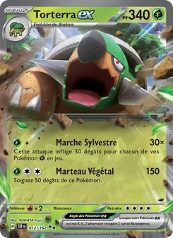 Carte Torterra-ex 012/162 – Forces Temporelles