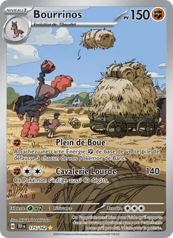 Carte Bourrinos 175/162 – Forces Temporelles