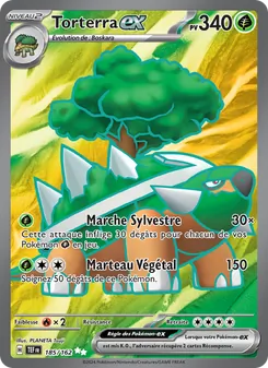 Carte Torterra-ex 185/162 – Forces Temporelles