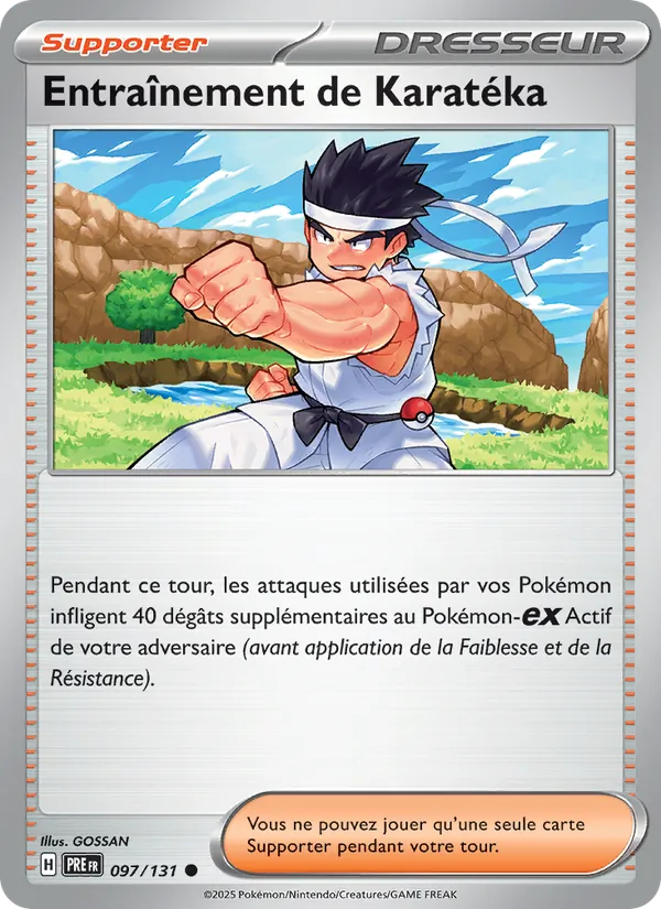 Carte Entraînement de Karatéka 097/131 – Évolutions Prismatiques