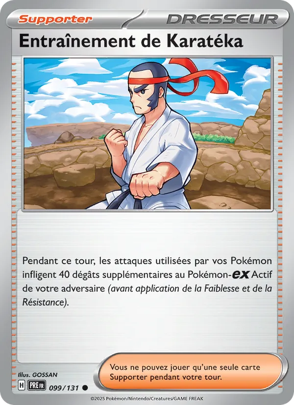 Carte Entraînement de Karatéka 099/131 – Évolutions Prismatiques