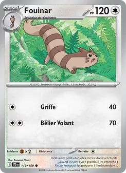 Carte Fouinar 119/159 – Aventures Ensemble