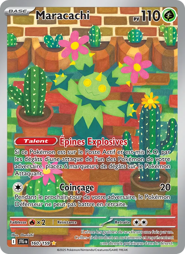 Carte Maracachi 160/159 – Aventures Ensemble
