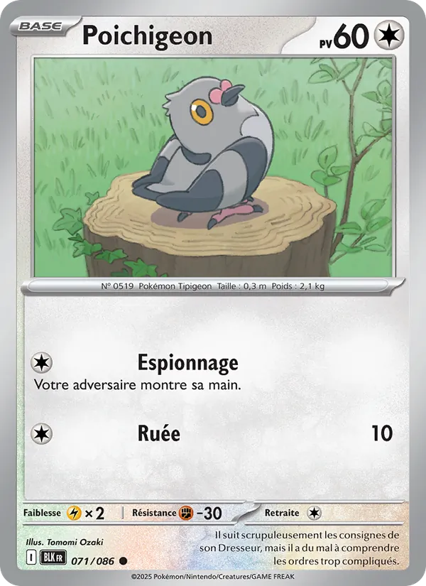 Carte Poichigeon 071/086 – Foudre Noire