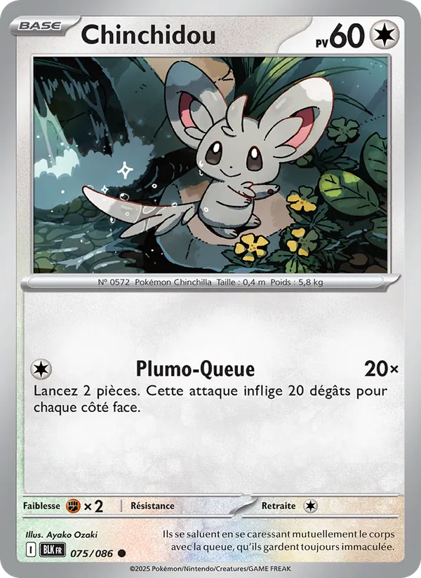 Carte Chinchidou 075/086 – Foudre Noire