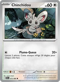 Carte Chinchidou 075/086 – Foudre Noire