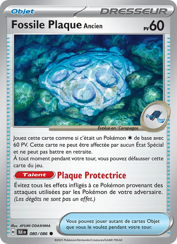 Carte Fossile Plaque Ancien 080/086 – Foudre Noire