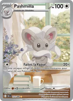 Carte Pashmilla 153/086 – Foudre Noire