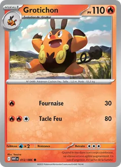 Carte Grotichon 012/086 – Flamme Blanche