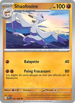 Carte Shaofouine 053/086 – Flamme Blanche