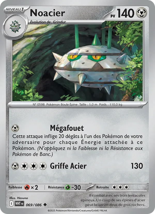 Carte Noacier 069/086 – Flamme Blanche