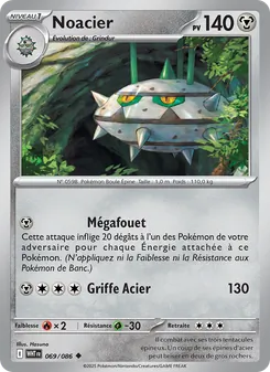 Carte Noacier 069/086 – Flamme Blanche