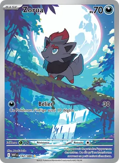 Carte Zorua 142/086 – Flamme Blanche
