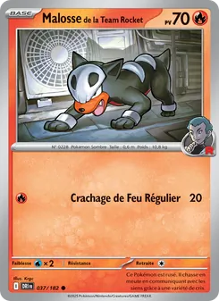 Carte Malosse de la Team Rocket 037/182 – Rivalités Destinées