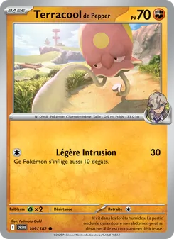 Carte Terracool de Pepper 109/182 – Rivalités Destinées