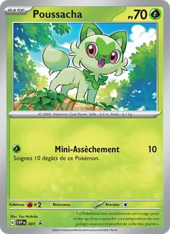 Carte Poussacha 001/225 – SVP Black Star Promos