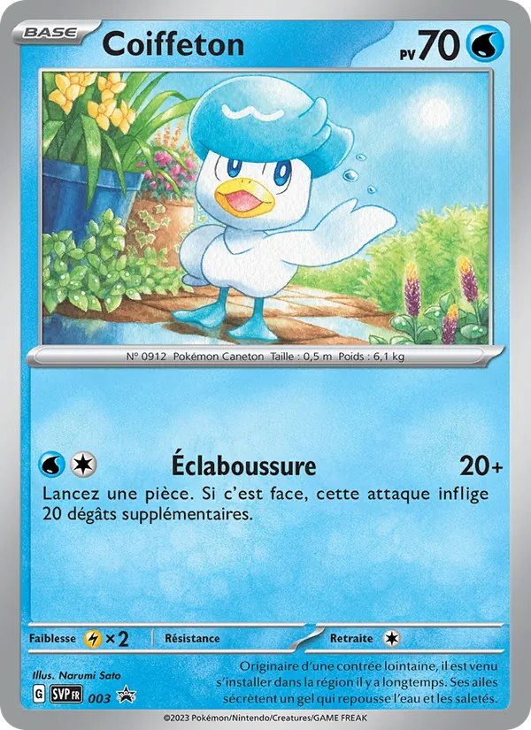 Carte Coiffeton 003/225 – SVP Black Star Promos