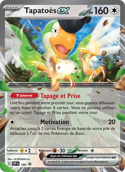 Carte Tapatoès-ex 160/225 – Promo SV