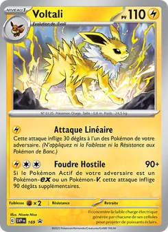 Carte Voltali 169/225 – SVP Black Star Promos