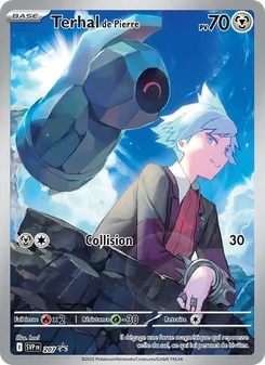 Carte Terhal de Pierre 207/225 – SVP Black Star Promos