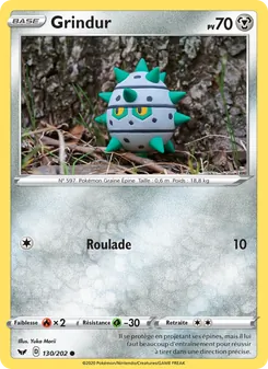 Carte Grindur 130/202 – Épée et Bouclier