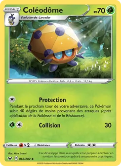 Carte Coléodôme 18/202 – Épée et Bouclier